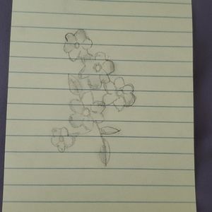 Flower drawing